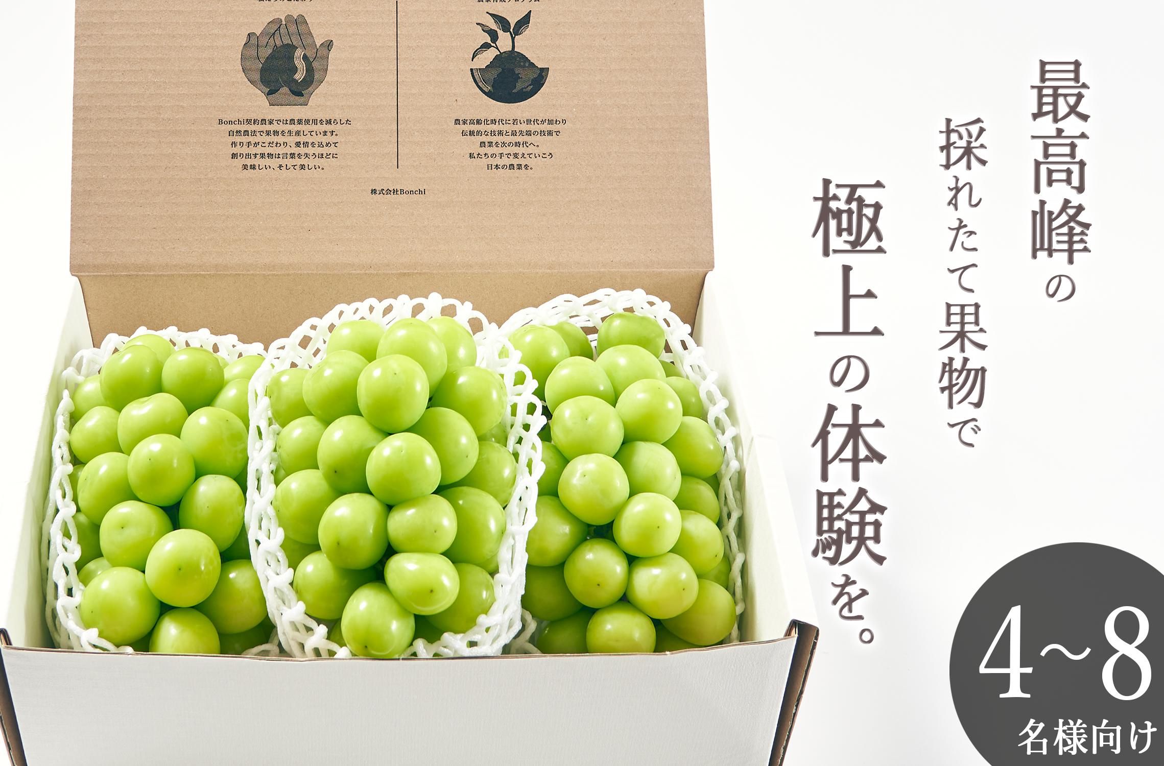 
                  甲州市産 大粒シャインマスカット3房入り 約2kg 自然農法【2026年発送】（BNC）F-101【シャインマスカット 葡萄 ぶどう ブドウ 令和8年発送 山梨県産 甲州市 フルーツ 果物】
                