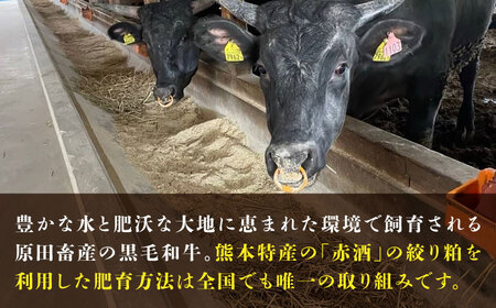 熊本県産 『原田畜産』 黒毛和牛 サーロイン ステーキ 約200g 牛肉 牛【有限会社 九州食肉産業】[AYCN048]