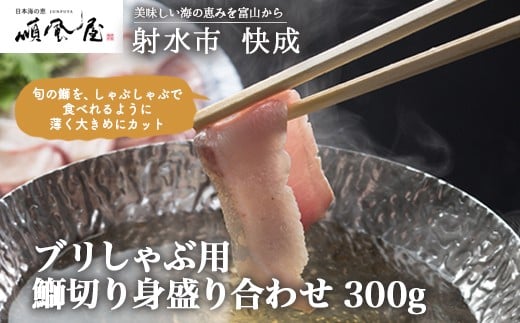 
            【射水市】【射水のおいしい食品】【海鮮】ブリしゃぶ用　鰤切り身盛り合わせ 300g　※離島への配送不可
          