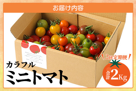 【2回定期便】【先行受付】2027年1月より順次発送 カラフルミニトマト6種 1kg ミニトマト プチトマト 定期便 農家直送 たにぐちファーム Ricotomato～とりこになるトマト～ D-92