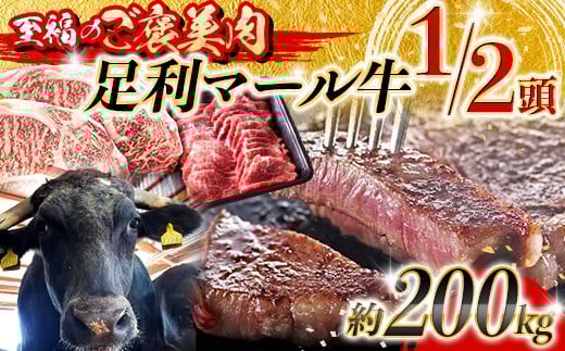 【至福のご褒美肉】足利マール牛1/2頭！　約200kg F7Z-1652