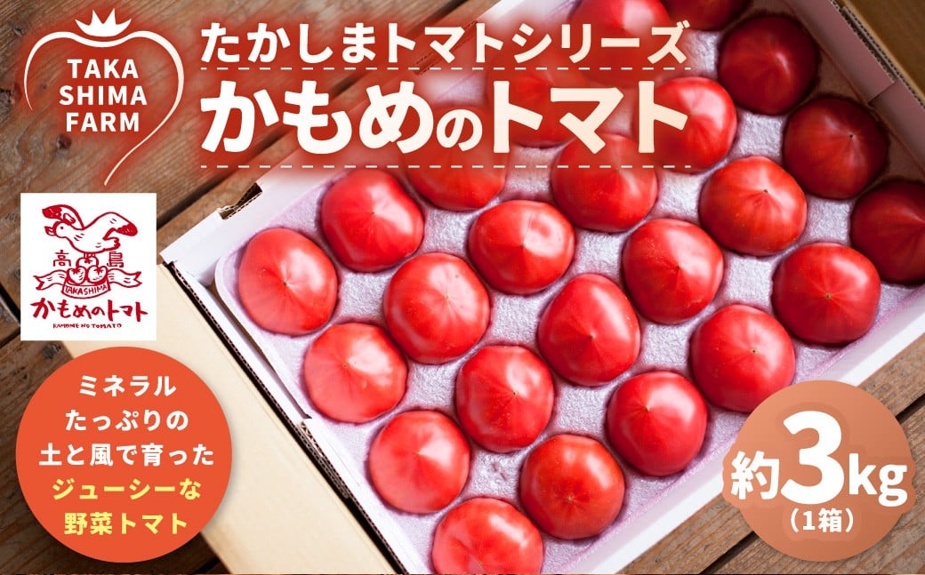 
            たかしまトマトシリーズ 【糖度6度以上】 「かもめのトマト」 約3kg箱×1 ／ トマト とまと 野菜 やさい サラダ 料理 ピューレ ジャム ケチャップ トマトジュース 【2026年1月下旬～4月下旬発送予定】
          