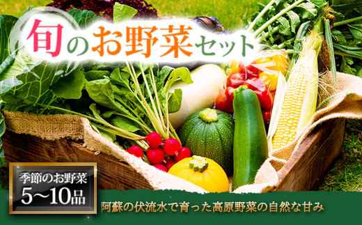 
＜畑から直送＞季節のお野菜セット
