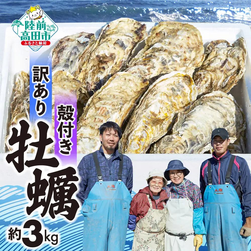【訳あり/生産者応援】 殻付き生牡蠣 約3kg 生食 冷蔵 三陸産 牡蠣 