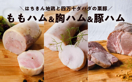 高知ブランド肉 3種ハム詰め合わせ｜栗豚・はちきん地鶏・四万十栗豚 無添加 冷凍 ギフト 国産