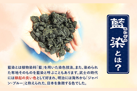 藍染体験 一般社団法人ジャパンブルー上板 《30日以内出荷予定(土日祝除く)》