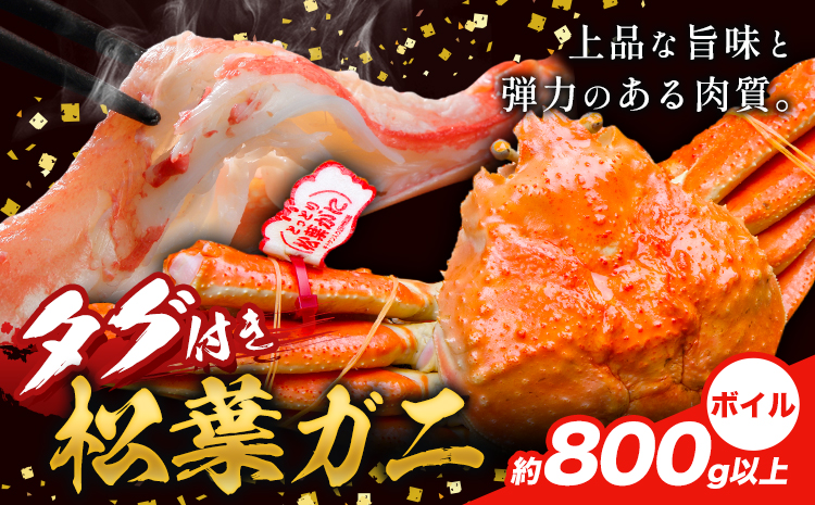 かに タグ付き 松葉ガニ 約800g 以上 ボイル 《11月上旬-4月中旬頃出荷》お魚センターみくりや 鳥取県 八頭町 蟹 かに カニ 鍋 松葉ガニ ボイル 送料無料　海鮮