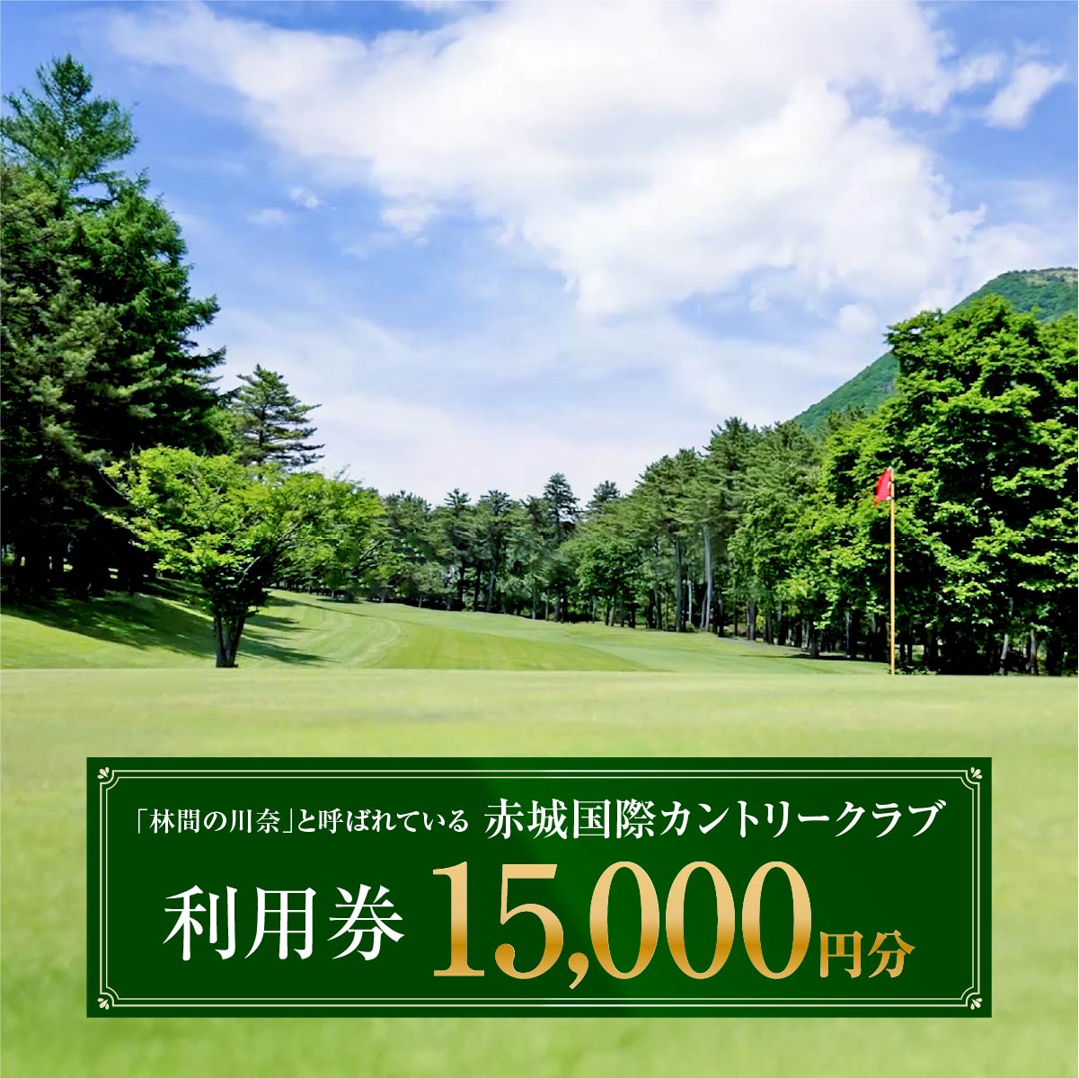 【ふるさと納税】赤城国際カントリークラブ 利用券 15,000円分 3000円券×5枚｜ゴルフ場 利用券 チケット ゴルフ 利用クーポン ラウンド プレー ハーフ 関東 都心 近い スイング クラブ スコア ゴルフコース 歴史 伝統 林間 戦略 1964年開場 四季 見通し 景色 眺望 R5-5