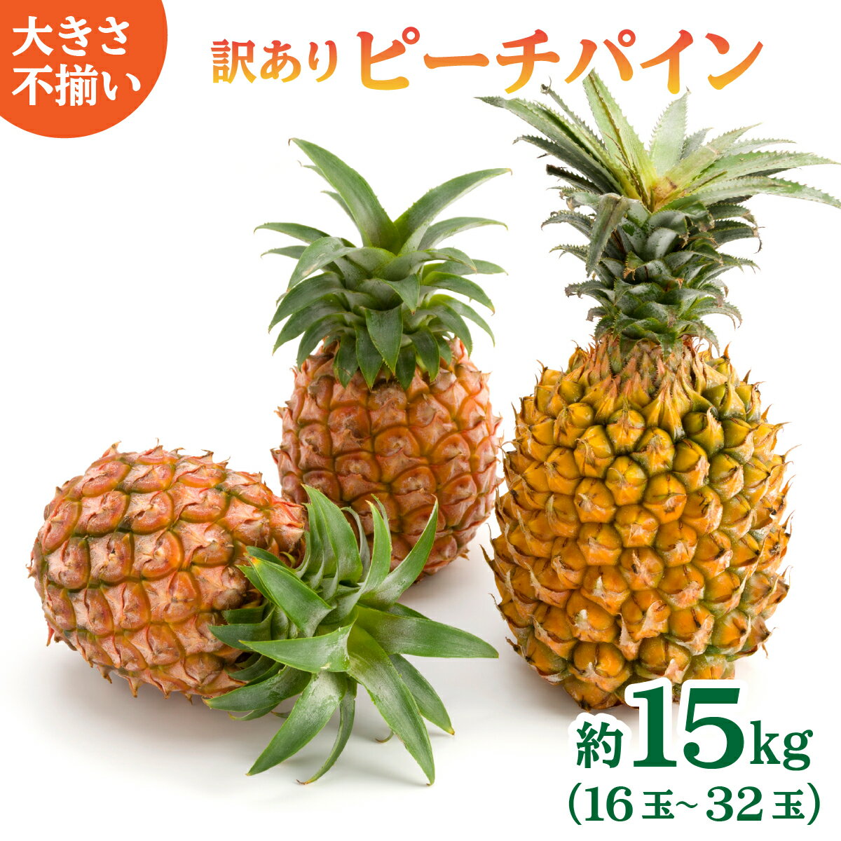 【ふるさと納税】イッテQでも紹介!! 《訳あり》 ピーチパイン 約15kg（16玉〜32玉） 大きさ不揃い 《2026年 先行予約》 西表島ひらい農園 濃密 【パイン 果物 パイナップル 果物 詰合せ フルーツ 桃 香り 甘い 人気 子供 ジューシー 】 お届け：2026年4月中旬〜6月下旬