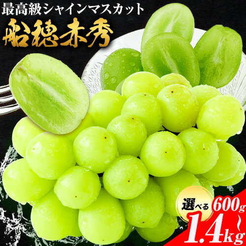 【ふるさと納税】【2026年発送先行予約】最高級 シャインマスカット ぶどう 船穂赤秀 1房 岡山県産 2房《2026年9月上旬-10月末頃出荷》 ハレノフルーツ マスカット 送料無料 岡山県 浅口市 フルーツ 果物 贈り物 ギフト 国産 岡山県産【配送不可地域あり】