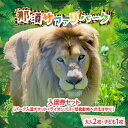 【ふるさと納税】那須サファリパーク入園券セット 大人2名 子ども1名（入園＋ライオンバス＋エサやり）モンキーパーク割引チケット付き！動物 動物園チケット どうぶつえん チケット 券 入場券 入園券 エサやり ライオンバス付き 観光 ファミリー 栃木県 那須町〔P-159〕