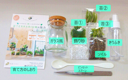 【D：飾り砂（ブルー系）×1袋】 おうちで作ろう♪ 苔テラリウム 手づくりキット 小瓶 選べるアイテム 【おうち時間】【インテリア】 育て方のしおり 付き 植物 テラリウム 苔テラリウム 苔 こけ コ