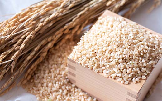 令和7年産米 西会津産米 至福米コシヒカリ 玄米 10kg F4D-1654