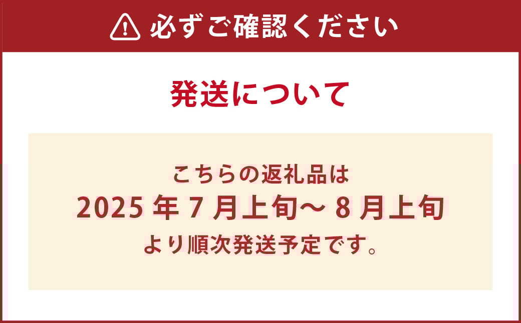 朝採りとうもろこし 恵味ゴールド 10本入り