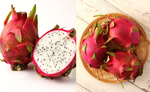 【2026年発送分】徳之島 天城町産 ドラゴンフルーツ 赤白混合 約2kg 家庭用 トロピカルフルーツ フルーツ 果物 果実 ピタヤ