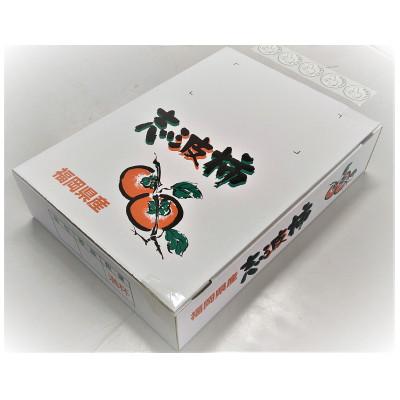 ふるさと納税 朝倉市 朝倉杷木志波の富有柿　3kg(2Lサイズ　10〜12個入) |  | 02