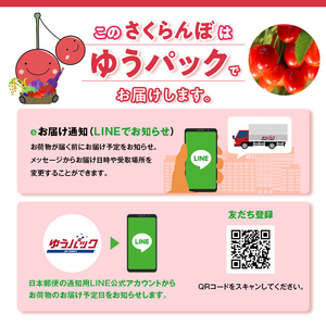 【先行受付/2024年7月出荷開始】仁木町産 さくらんぼ 「佐藤錦」 バラ詰め 500g ［妹尾観光農園］ 北海道 果物 フルーツ チェリー サクランボ