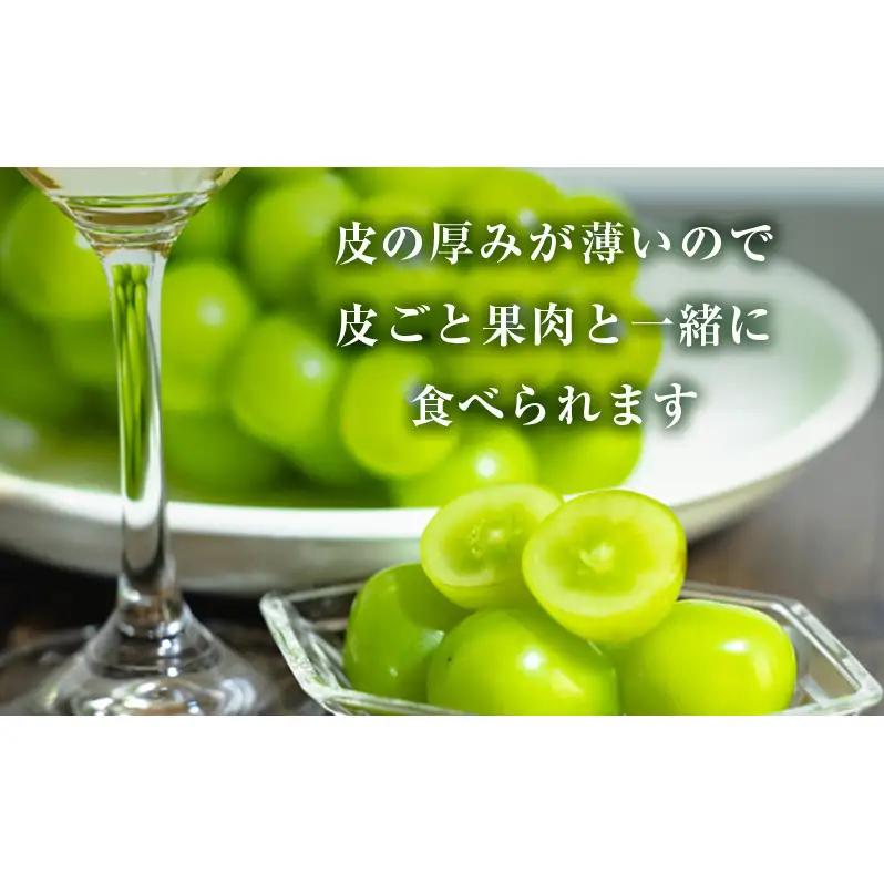 シャインマスカット ぶどう 訳あり 岡山県産 シャインマスカット【2房 約1kg】【冷蔵・先行予約】