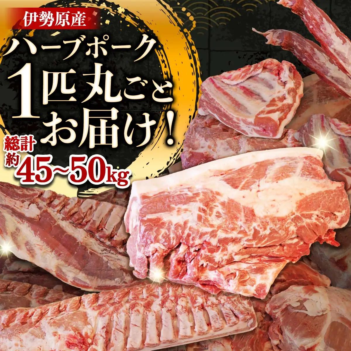 [限定] ハーブで育った絶品ポーク 豚肉1匹分 まるごとお届け！ [0729]