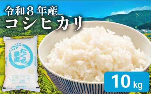 【 令和8年産 新米 】先行予約 こしひかり 10kg こめ コメ 米 おコメ お米 おこめ 精米 せいまい コシヒカリ しんまい 5kg 2袋 滋賀 彦根