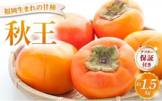 
                  福岡より直送！種がほとんどない新ブランド 柿 秋王 約1.5kg（5～6玉）化粧箱入（2026年10月以降発送）|甘柿 太秋柿 富有柿 フルーツ くだもの 果物 送料無料 福岡県 那珂川市
                