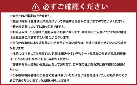 浦臼産 にんにく 約2kg 【2025年9月下旬～2025年12月下旬発送予定】 ニンニク 薬味 ガーリック 野菜 北海道 浦臼町