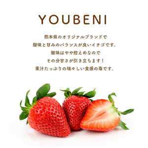 玉名産イチゴ ゆうべに 約1000g （ 250g × 4パック ）
