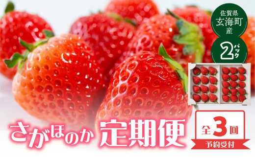 ★予約受付★杉山いちご農園 佐賀県玄海町産「さがほのか」3ヶ月定期便 ／ 送料無料 さがほのか 苺 いちご イチゴ 希少 果物 くだもの フルーツ デザート 旬 順次配送 予約受付