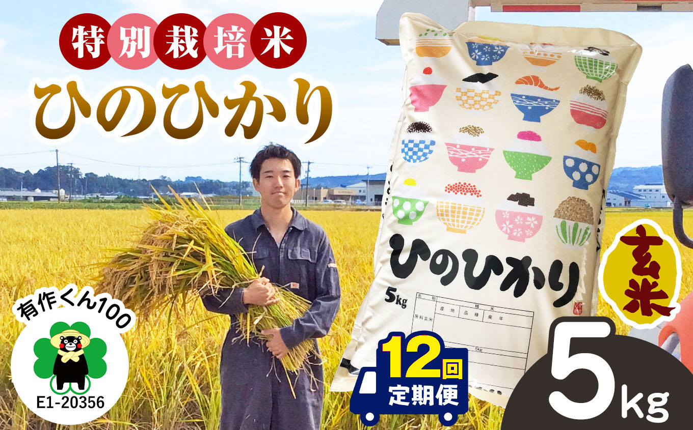 
            特別栽培米 「 玄米ひのひかり 」 5kg×12回 | 米 こめ お米 おこめ 玄米 ひのひかり 特別栽培 5kg 12回 定期便 定期 熊本県 玉名市
          