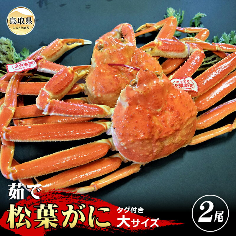 【ふるさと納税】【特撰】茹で　松葉かに　タグ付き　大サイズ2尾入【期間・数量限定】_T2600141