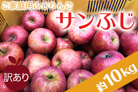【2026年発送】ご家庭用訳ありリンゴ（サンふじ）約10kg_H085(R8)
