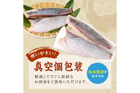 魚屋が捌く寒ブリ約1kg切り身　ロイン（2ブロック）冷凍