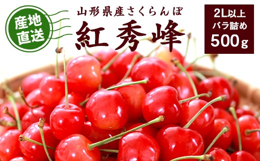
                  《先行予約》令和9年産 山形県産 こだわり農家の 新鮮 さくらんぼ 紅秀峰 500g 2L以上 秀品 【2027年6月中旬頃から6月下旬頃発送予定】※ 配送不可 沖縄・離島　020-A-JF022
                