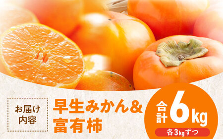 【先行予約】11月初旬より順次発送】早生みかん3kgと富有柿3kg 詰合せセット 愛媛県大洲市/沢井青果有限会社 [AGBN019]みかん柿果物みかん柿果物みかん