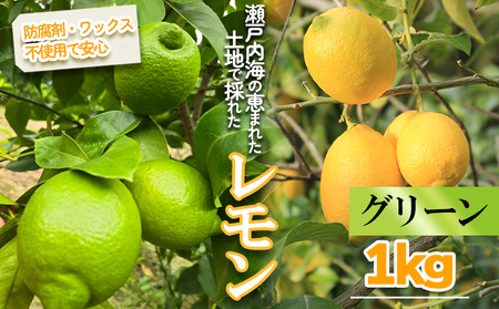 【2025年10月より順次発送】グリーンレモン　約1kg ｜果物 くだもの フルーツ レモン れもん 檸檬 柑橘 防腐剤不使用 ワックス不使用 グリーンレモン ぐりーんれもん 国産 愛媛県産 国産レモン【MSD001_g】
