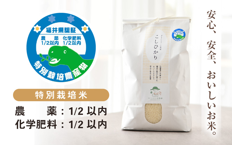 【先行予約】【令和8年産】《定期便3回》特別栽培米 コシヒカリ 5kg × 3回 （計15kg） 無洗米 低農薬 / 北陸 福井県産 あわら市 ブランド米 白米 お米 コメ 特栽米 ※2026年10月
