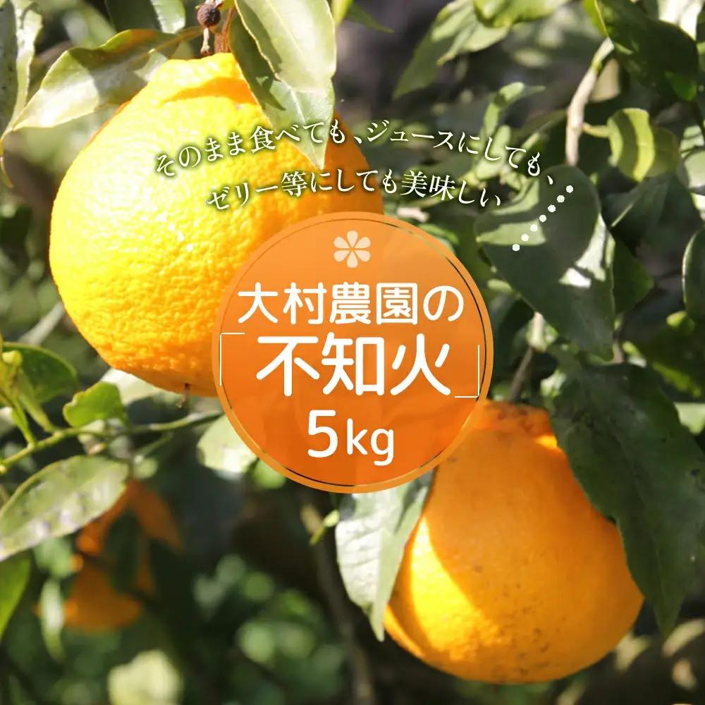 【先行予約】大村農園 みかん 不知火 5kg | 津久見市