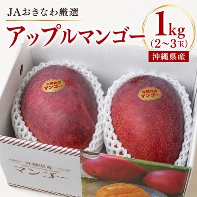 【2027年7月から順次発送・化粧箱】JAおきなわ厳選のアップルマンゴー1kg(2〜3玉)【配送不可地域：離島】【1494042】