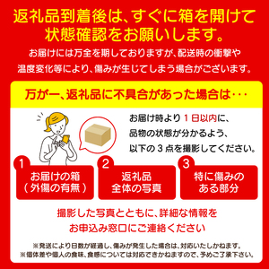 フルーツ 野菜 定期便 6回 定期