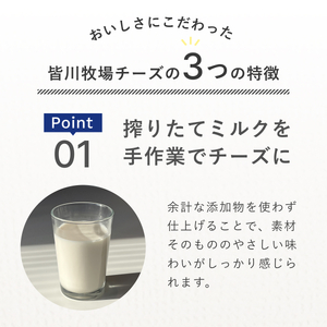 皆川牧場 チーズ ３種 セット　モッツァレッラ　カチョッタ　スカモルツァ　ご当地　船橋産