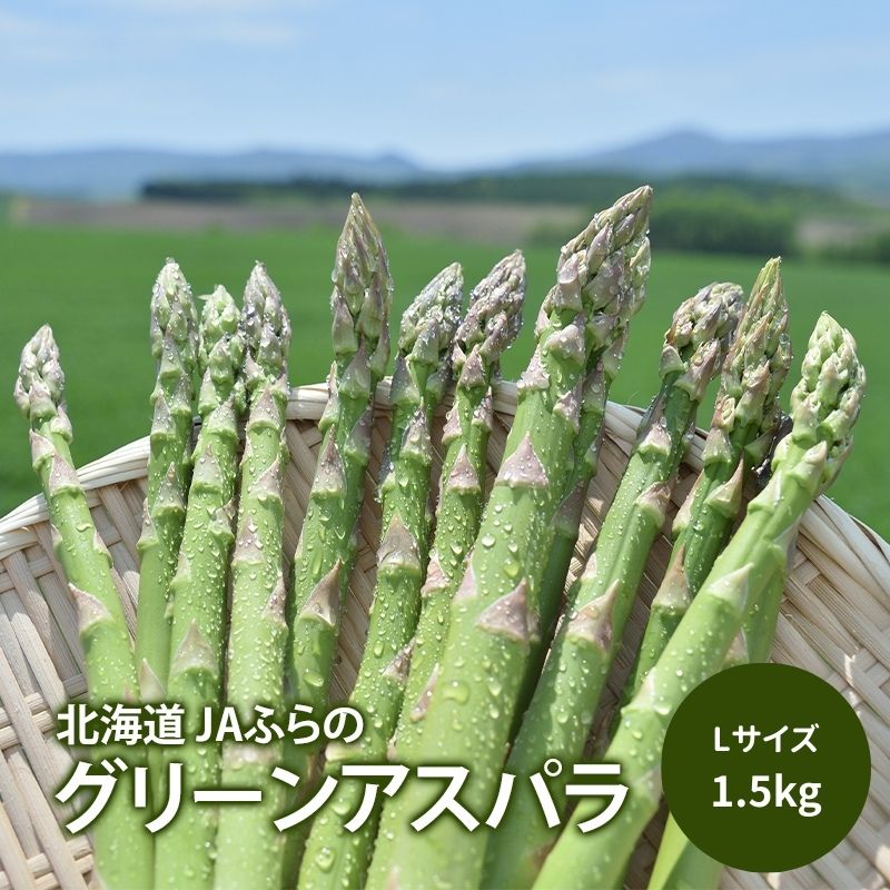 【ふるさと納税】【令和7年産】アスパラガス グリーンアスパラ 1.5kg M～L アスパラ あすぱら 野菜 北海道 上富良野町 ふらの農業協同組合　お届け：2026年4月上旬～2026年5月下旬