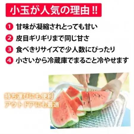 小玉すいか 秀品 2玉 約2～3kg【2027年5月下旬～7月下旬発送予定】【1586188】