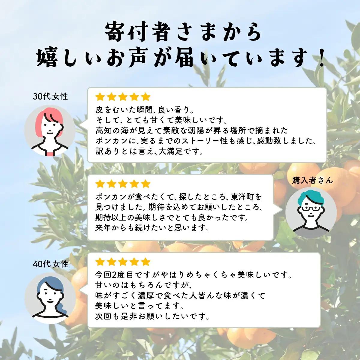 完熟ぽんかん＜5kg＞【株式会社フクチャンFARM】
