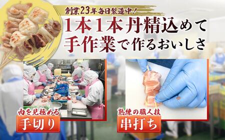 焼き鳥 バラエティセット 48本 国産焼き鳥