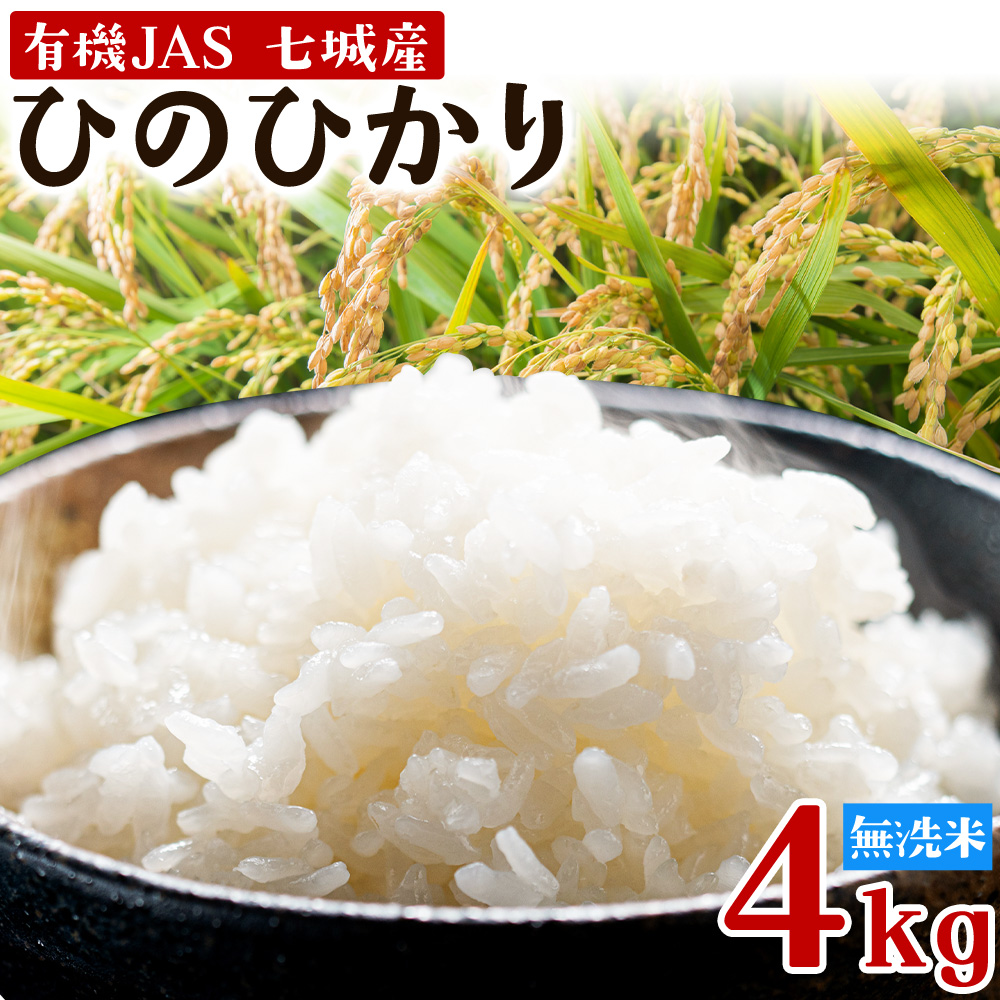 令和7年産 有機JAS 七城産ひのひかり 無洗米 4kg《30日以内に出荷予定(土日祝除く)》 渡辺農産熊本県 菊池市 米 お米 精米 ひのひかり 菊池市産 熊本県産 九州産 送料無料---171-1914---