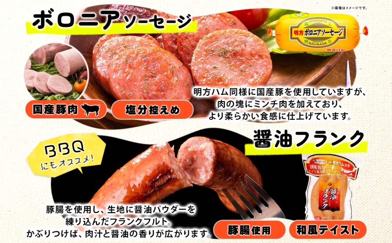 明方 ハム Bセット ボロニア ソーセージ フランクフルト JA ブランド 豚肉 お肉 国産 熟成 塩分 控えめ 豚腸 バーベキュー BBQ 加工品 お取り寄せ 贈答 ギフト 送料無料 めぐみの農業協