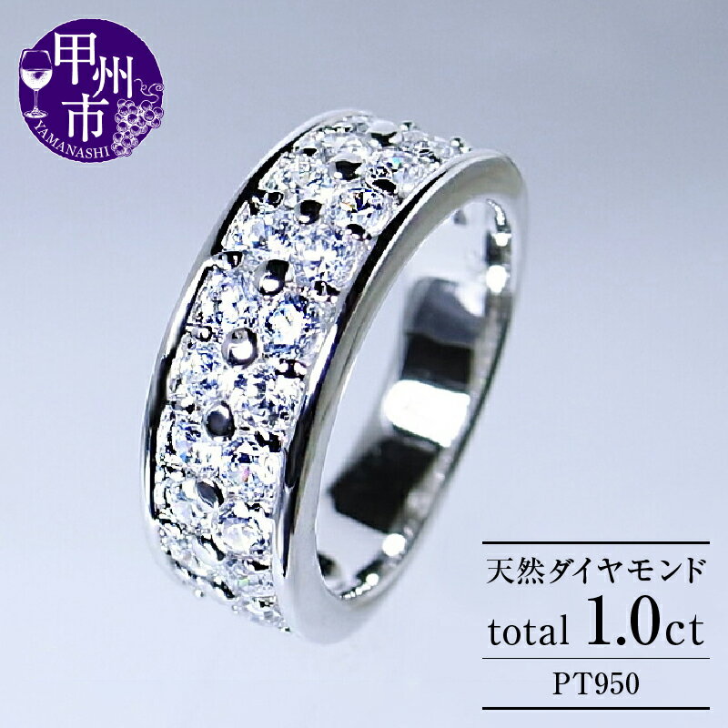 【ふるさと納税】 リング 指輪 ジュエリー レディース ファッション アクセサリー pt950 天然 ダイヤ 1.0ct エタニティ パヴェ プラチナ SIクラス ダイヤモンド 1カラット プラチナ950 ブライダル 誕生石 太め Delphineデルフィーヌ 品質保証書付 r-178 (KRP) 【Q6-1410】