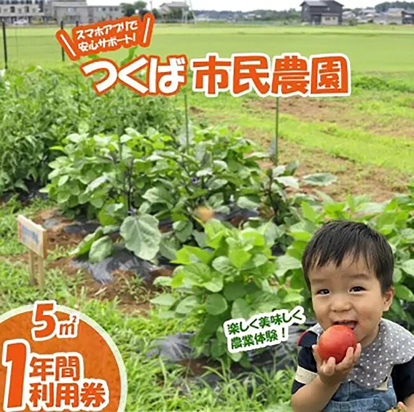 市民農園 ハルファーム 利用券 (5㎡ 1年分)【農園】