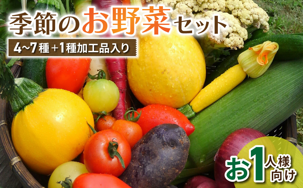 
【アグロノーム】お一人様向け、お試し季節のお野菜と加工品セット※2024年7月以降発送開始
