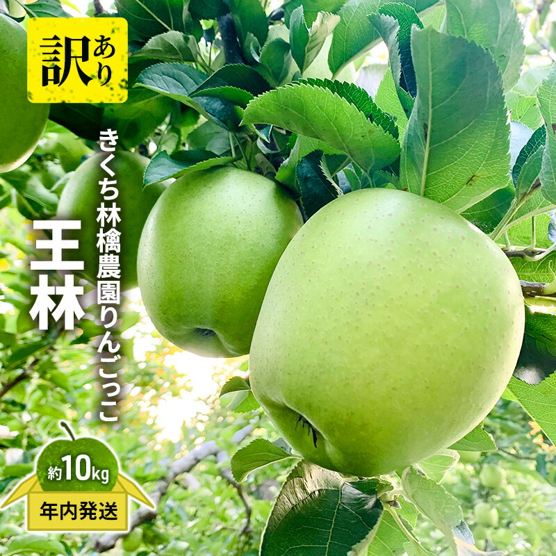 【ふるさと納税】【年内発送】きくち林檎農園りんごっこ 家庭用 大玉 王林 訳あり 約10kg　お届け：2025年11月10日～2025年12月30日